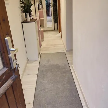 Privatunterkunft Souterrain Hunde Sehr Willkommen Grosser Eingezaunter Garten Apartment Heidelberg