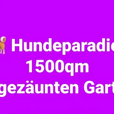 Privatunterkunft Souterrain Hunde Sehr Willkommen Grosser Eingezaunter Garten *